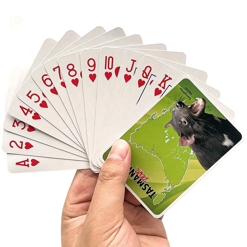 Deck cards Deck cards